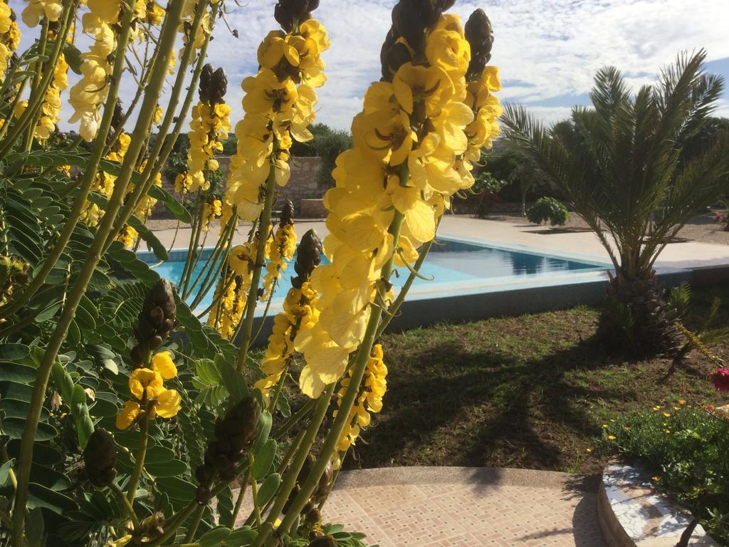 Dar Albatros Guest House ซิดี้คาโอกี ภายนอก รูปภาพ